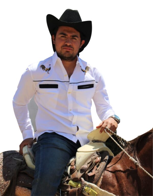 Gallos Bordada